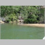 10Boca De Yuma_0297.JPG